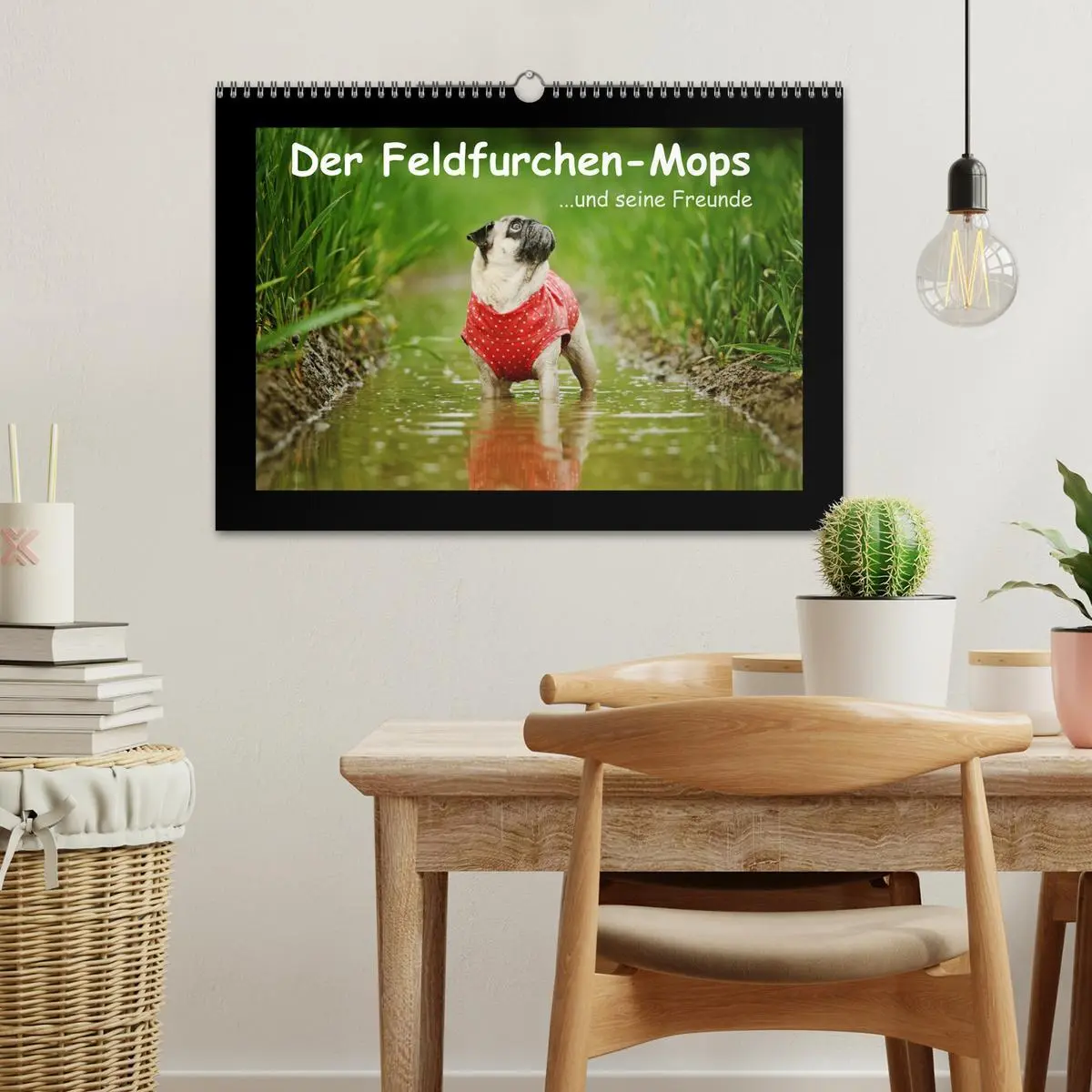 Bild: 9783516089127 | Der Feldfurchen-Mops (Wandkalender 2026 DIN A3 quer), CALVENDO...