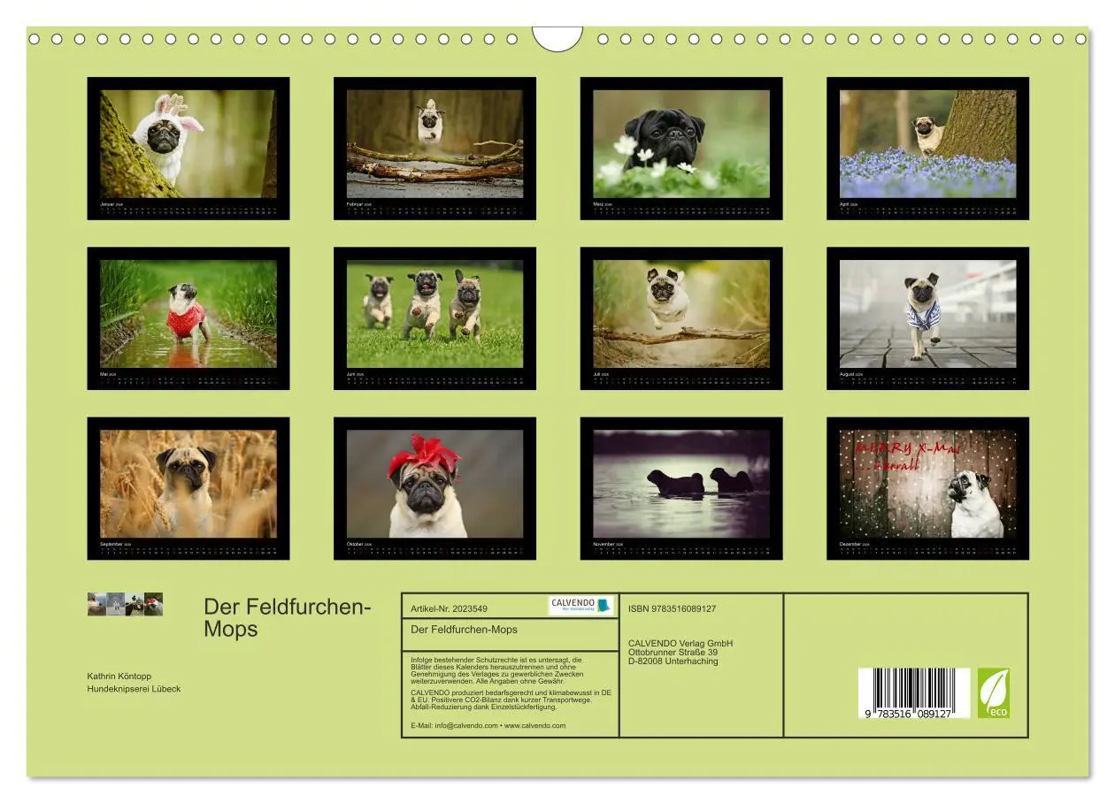 Bild: 9783516089127 | Der Feldfurchen-Mops (Wandkalender 2026 DIN A3 quer), CALVENDO...
