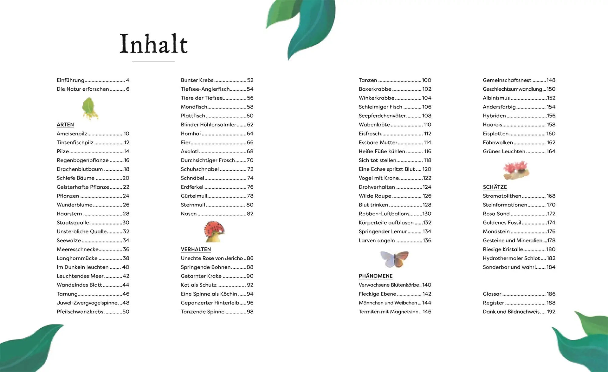 Bild: 9783831049127 | Kuriose Schätze der Natur | Ben Hoare | Buch | 192 S. | Deutsch | 2024