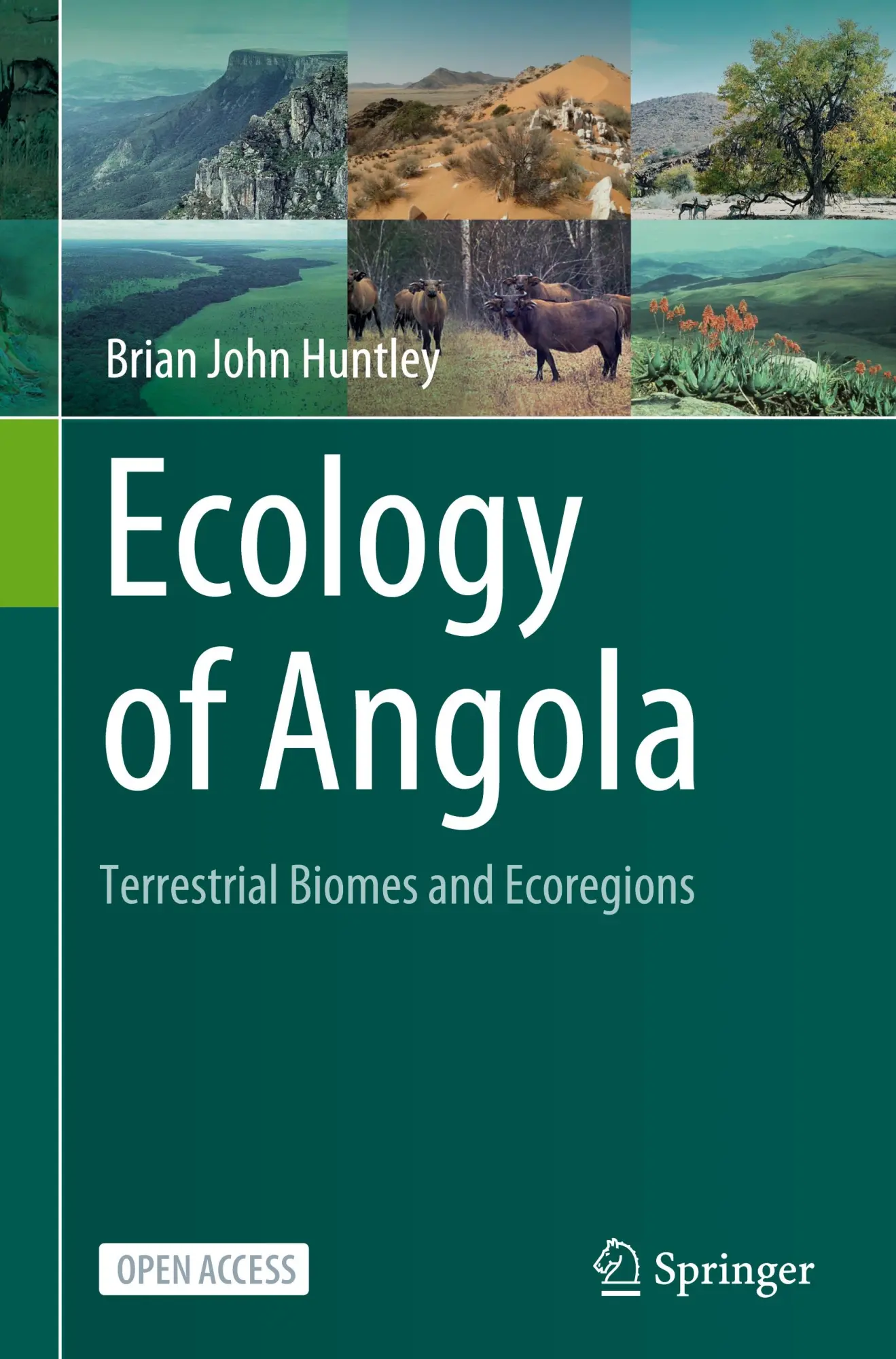 Cover: 9783031189227 | Ecology of Angola | Terrestrial Biomes and Ecoregions | Huntley | Buch