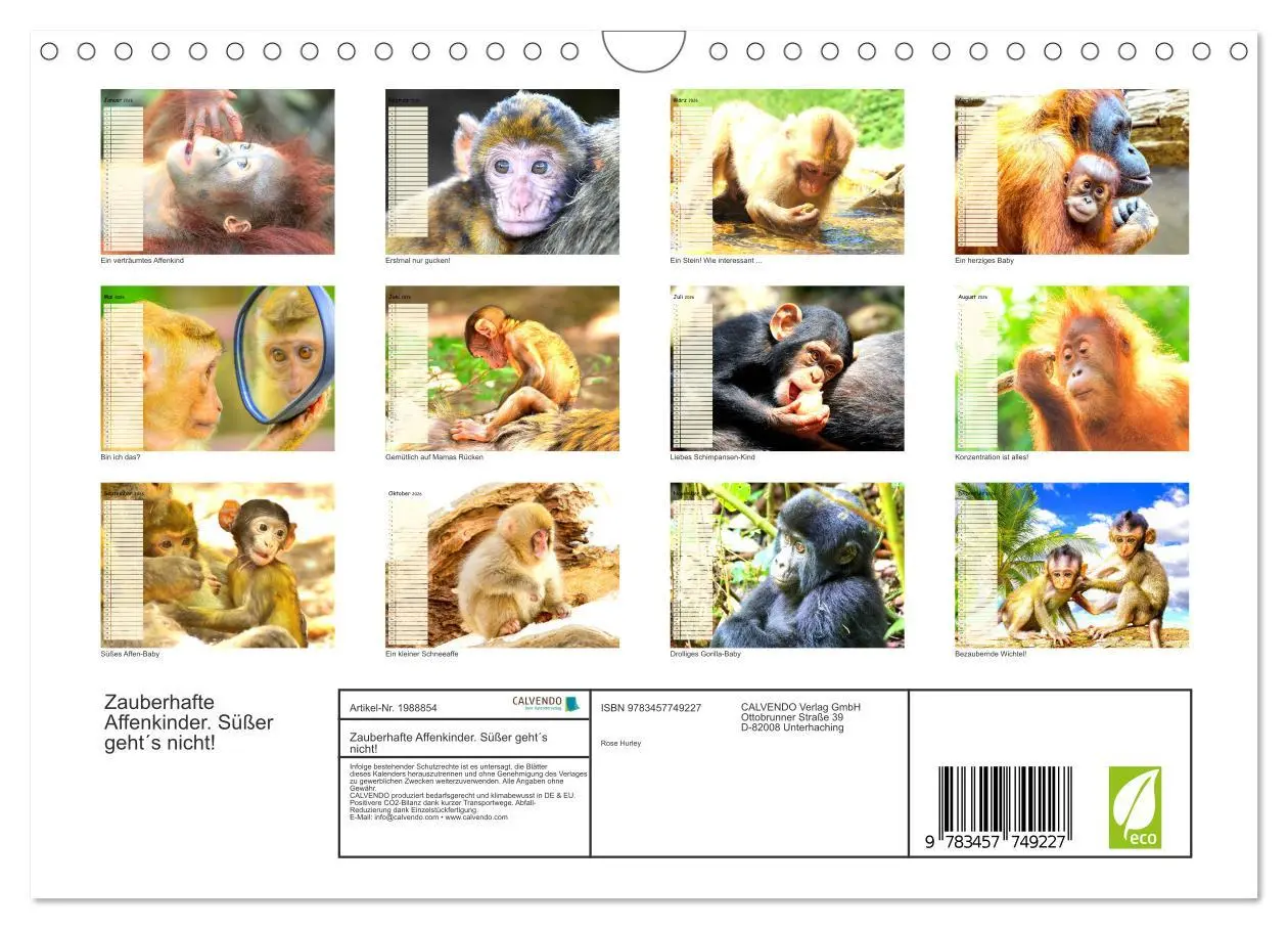 Bild: 9783457749227 | Zauberhafte Affenkinder. Süßer geht´s nicht! (Wandkalender 2026 DIN...