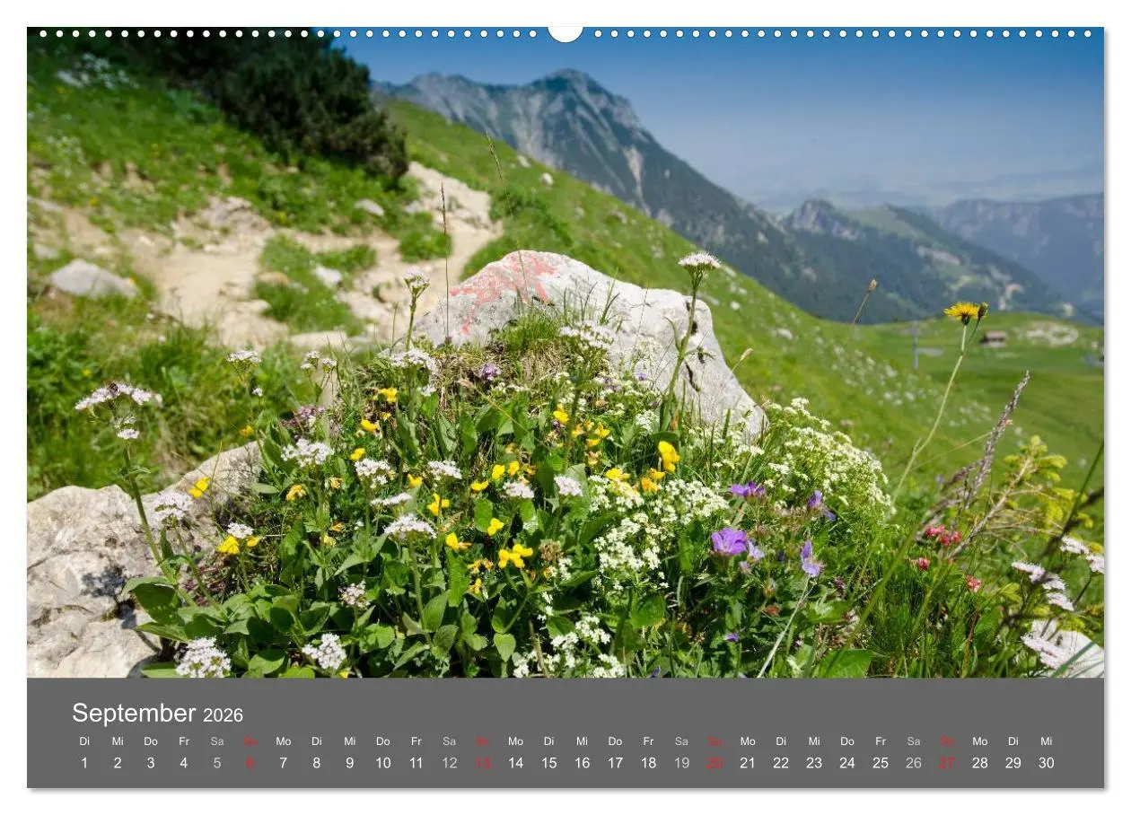 Bild: 9783516219227 | Tannheimer Tal (hochwertiger Premium Wandkalender 2026 DIN A2...