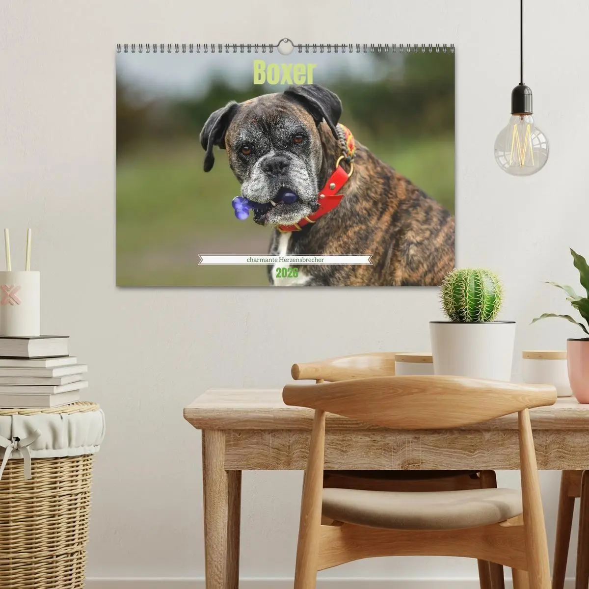 Bild: 9783516699227 | Boxer - charmante Herzensbrecher (Wandkalender 2026 DIN A3 quer),...