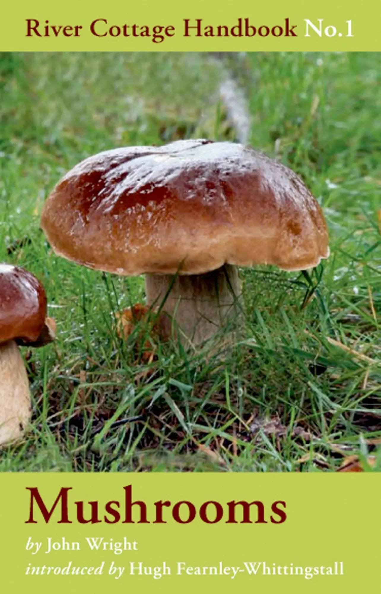 Cover: 9780747589327 | Mushrooms | John Wright | Buch | Gebunden | Englisch | 2007