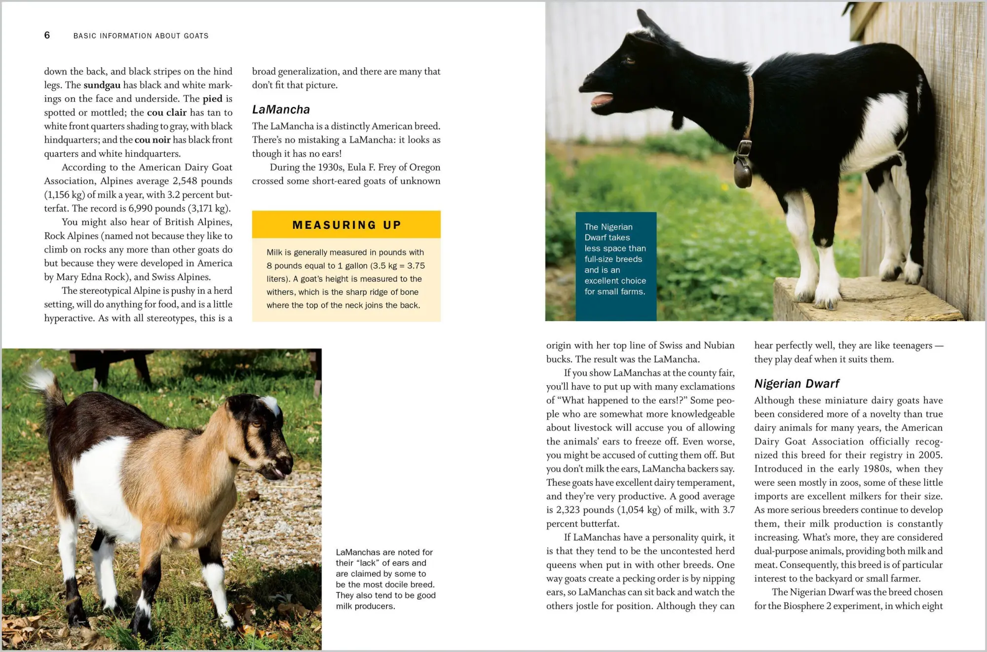 Bild: 9781612129327 | Storey's Guide to Raising Dairy Goats, 5th Edition | Belanger (u. a.)