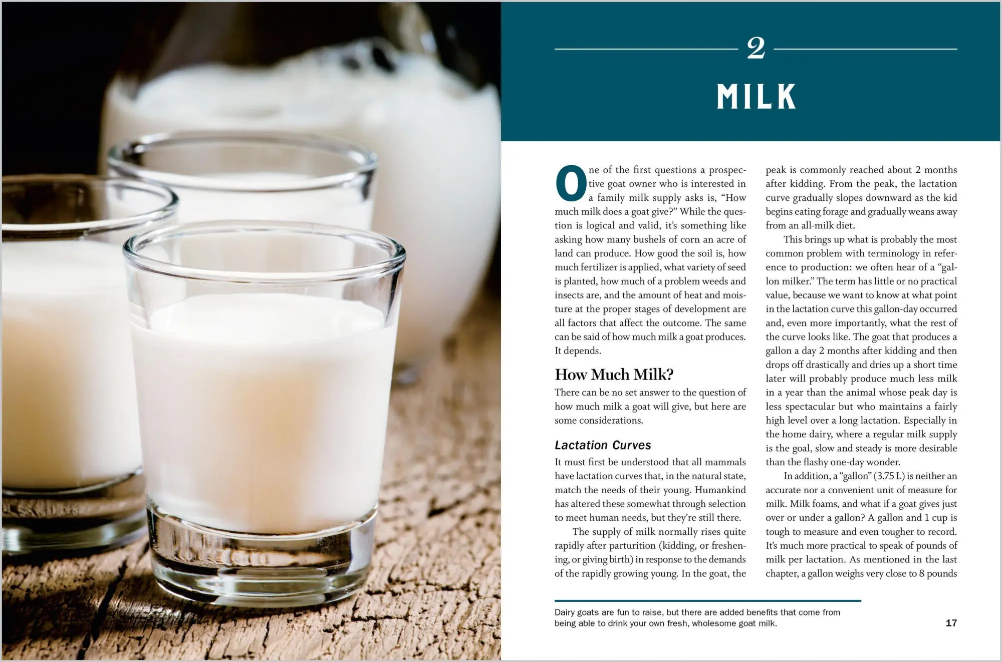 Bild: 9781612129327 | Storey's Guide to Raising Dairy Goats, 5th Edition | Belanger (u. a.)