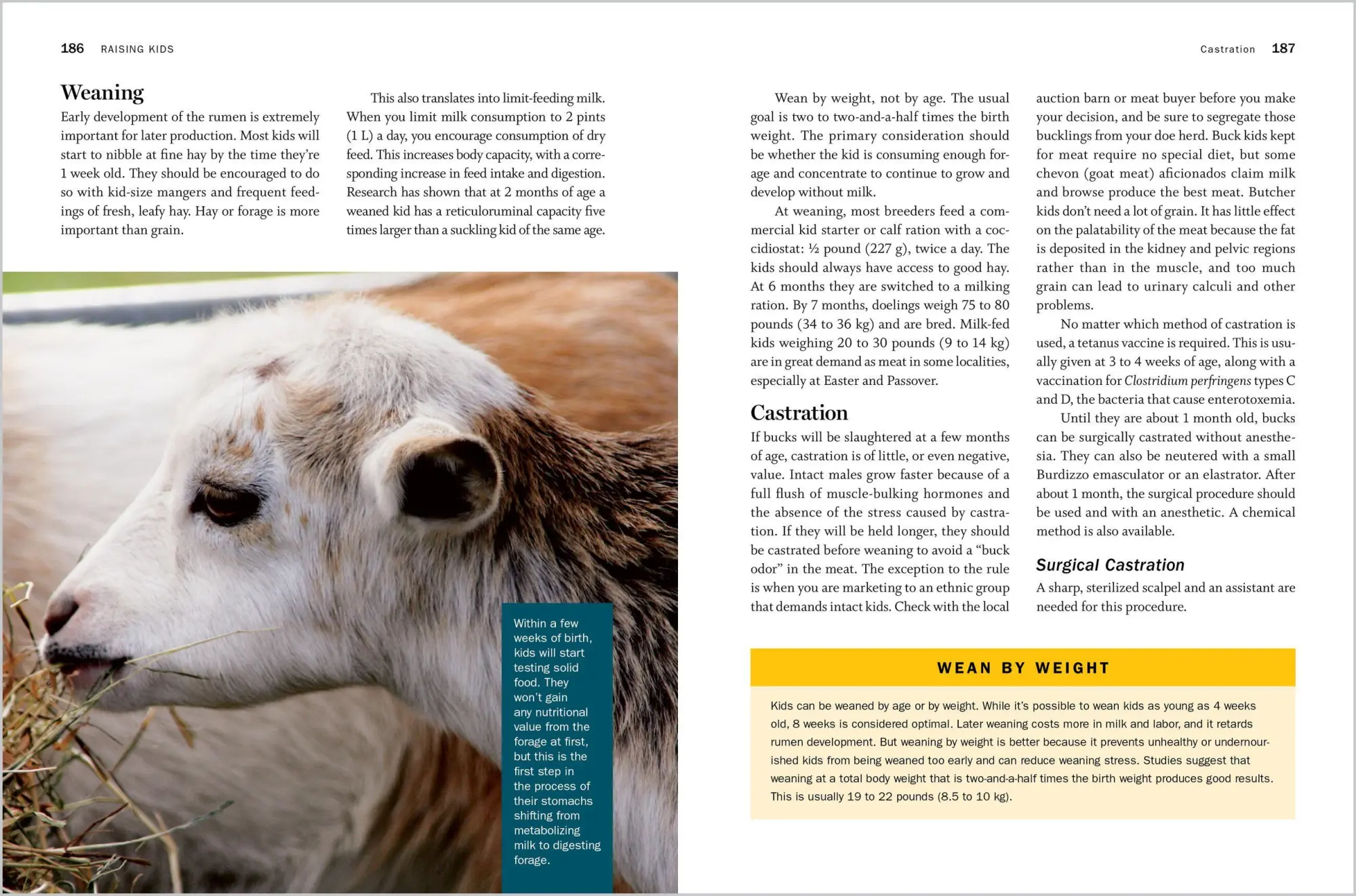 Bild: 9781612129327 | Storey's Guide to Raising Dairy Goats, 5th Edition | Belanger (u. a.)