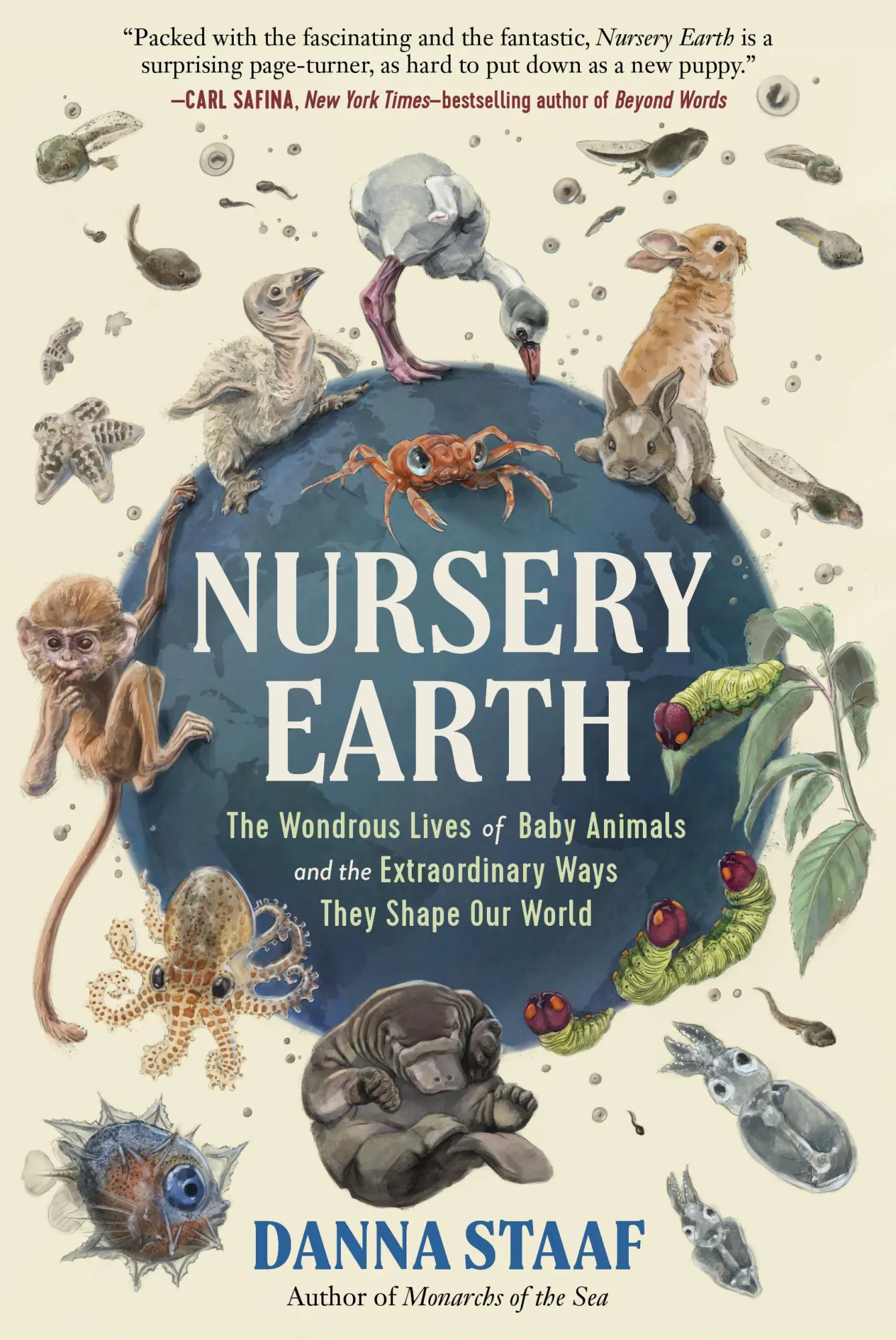 Cover: 9781615199327 | Nursery Earth | Danna Staaf | Buch | Einband - fest (Hardcover) | 2023