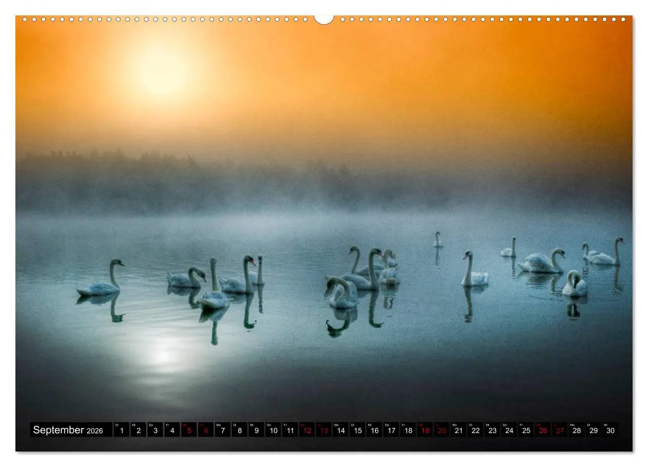 Bild: 9783457739327 | Quer durch die Oberpfalz (hochwertiger Premium Wandkalender 2026...