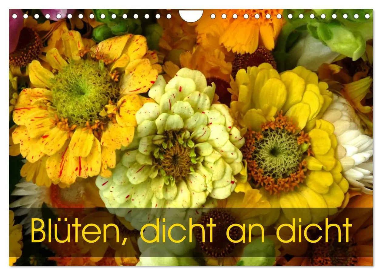 Cover: 9783516069327 | Blüten dicht an dicht (Wandkalender 2026 DIN A4 quer), CALVENDO...
