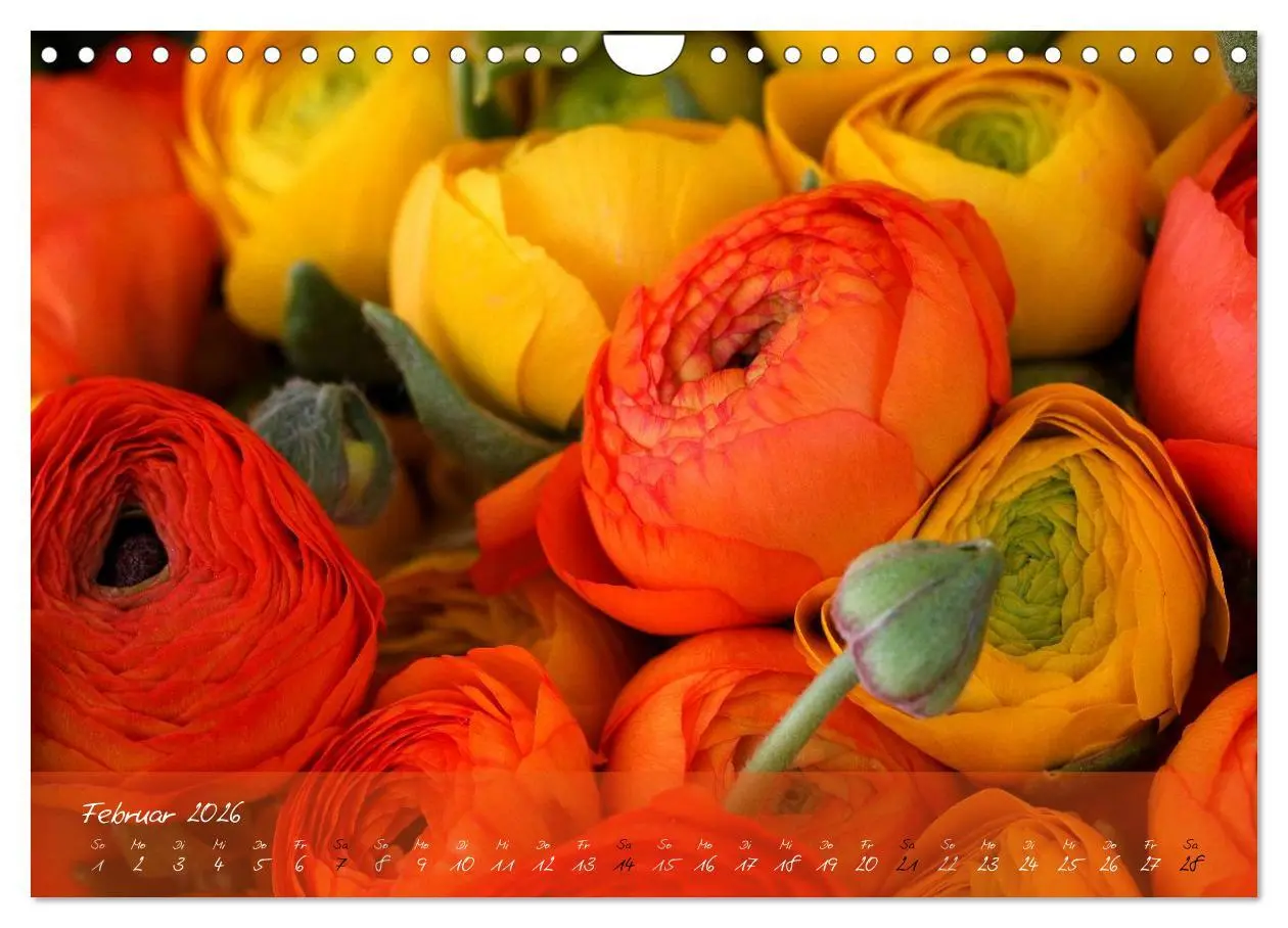 Bild: 9783516069327 | Blüten dicht an dicht (Wandkalender 2026 DIN A4 quer), CALVENDO...