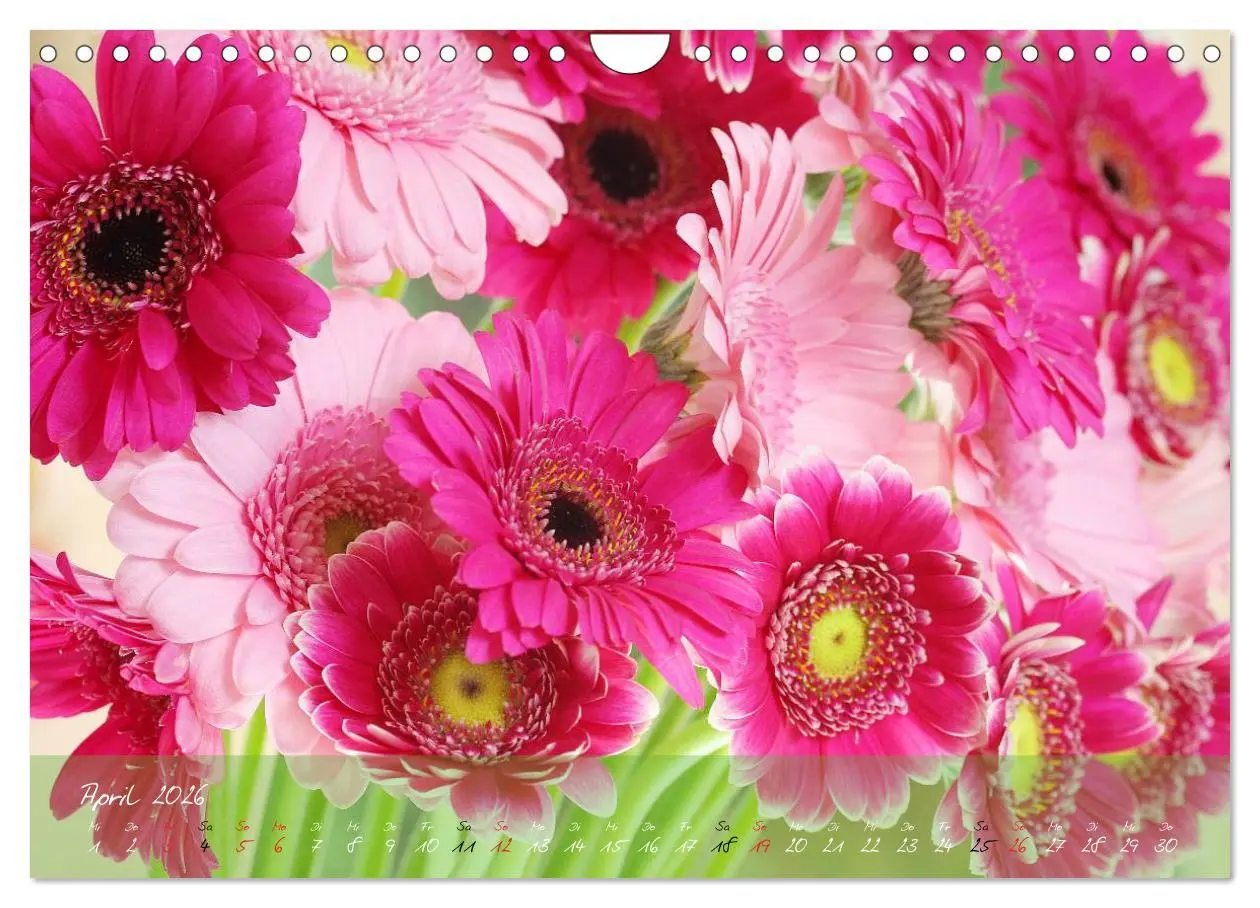 Bild: 9783516069327 | Blüten dicht an dicht (Wandkalender 2026 DIN A4 quer), CALVENDO...