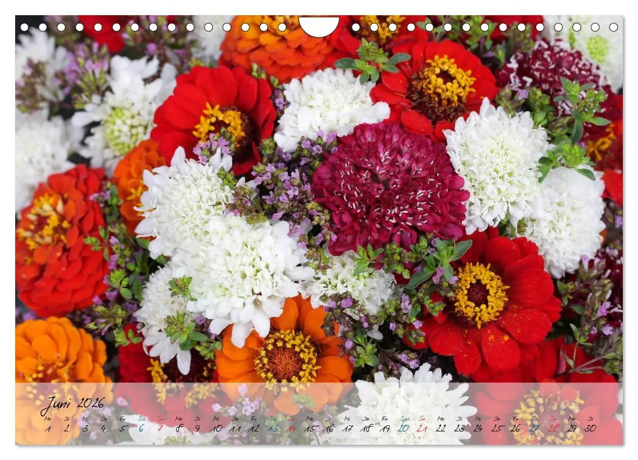 Bild: 9783516069327 | Blüten dicht an dicht (Wandkalender 2026 DIN A4 quer), CALVENDO...