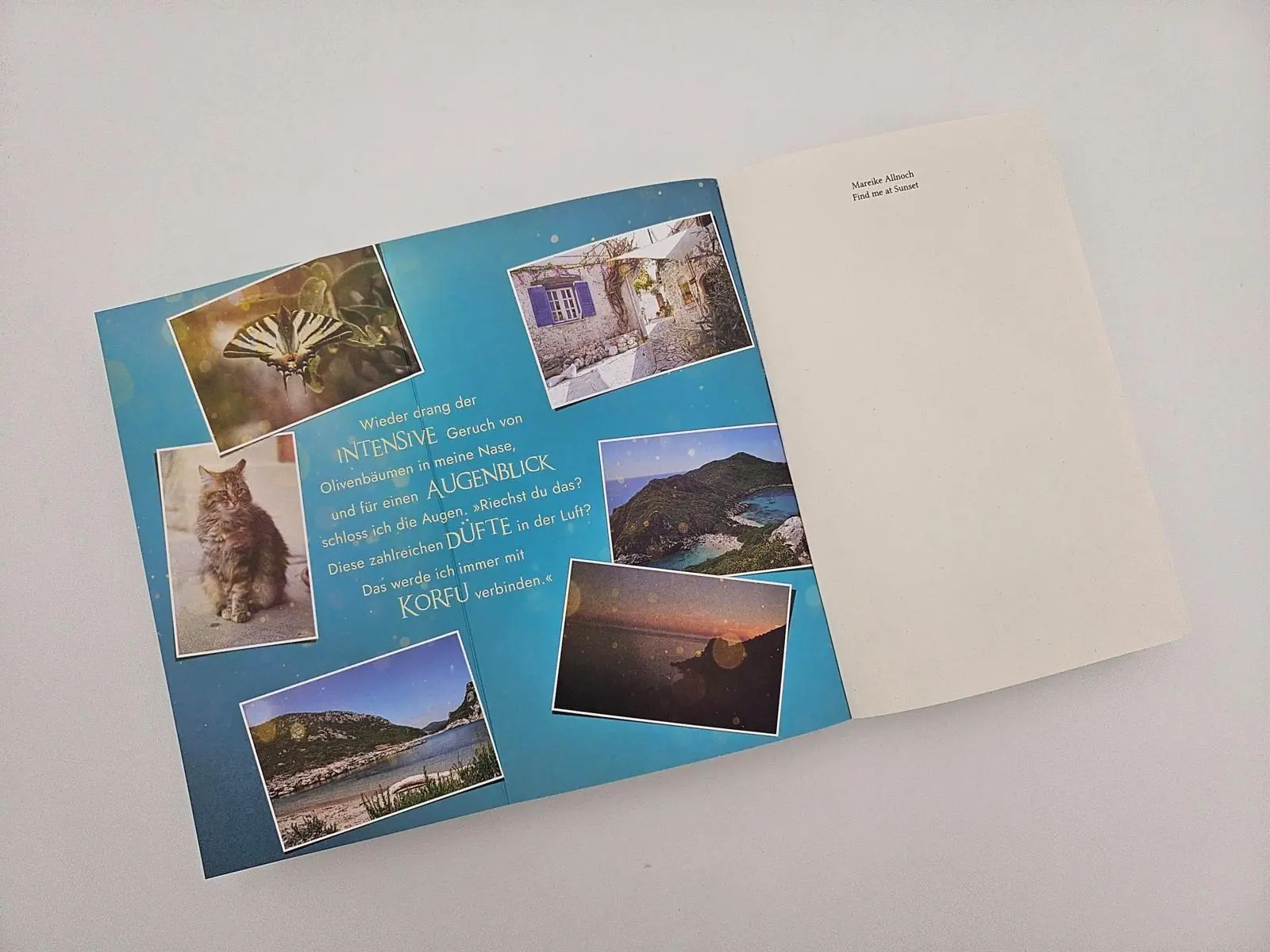 Bild: 9783492069427 | Find Me at Sunset | Mareike Allnoch | Taschenbuch | 368 S. | Deutsch
