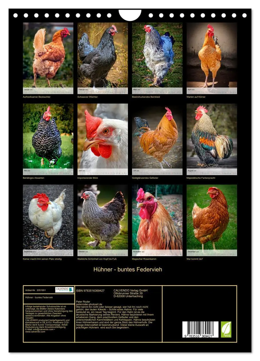 Bild: 9783516369427 | Hühner - buntes Federvieh (Wandkalender 2026 DIN A4 hoch), CALVENDO...