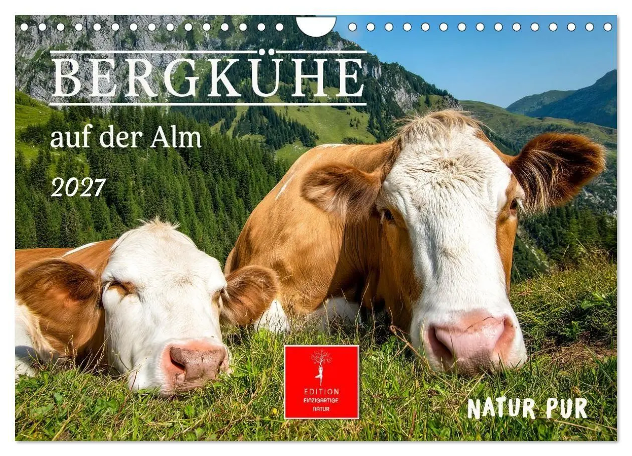 Cover: 9783516819427 | Bergkühe auf der Alm - Natur pur (Wandkalender 2027 DIN A4 quer),...