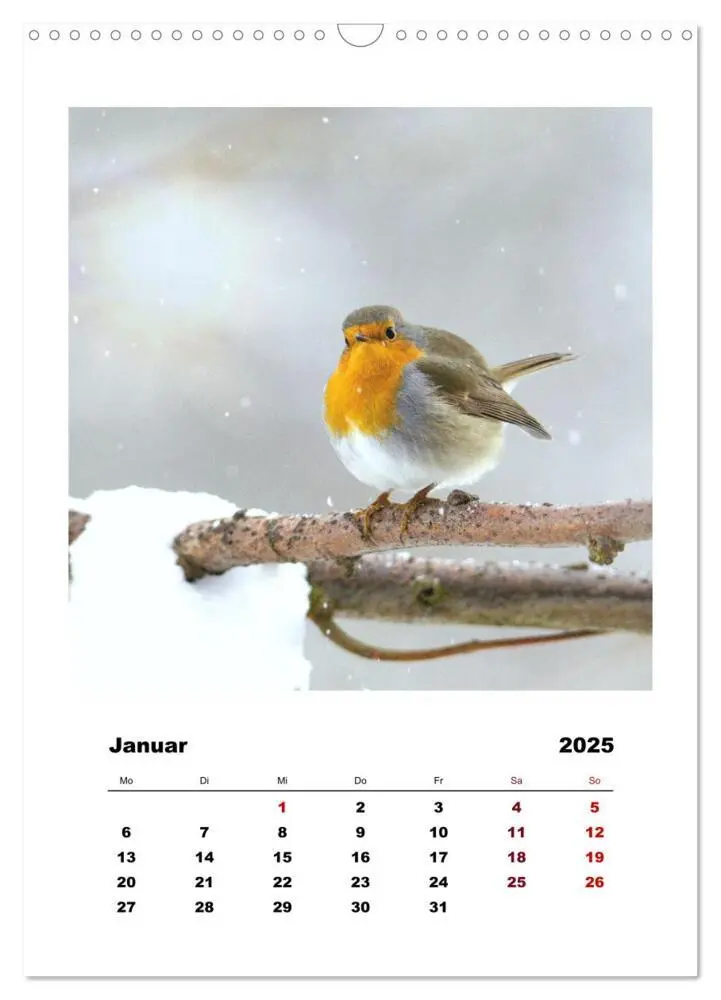 Bild: 9783435929627 | Rotkehlchen, süße kleine Knutschkugeln (Wandkalender 2025 DIN A3...