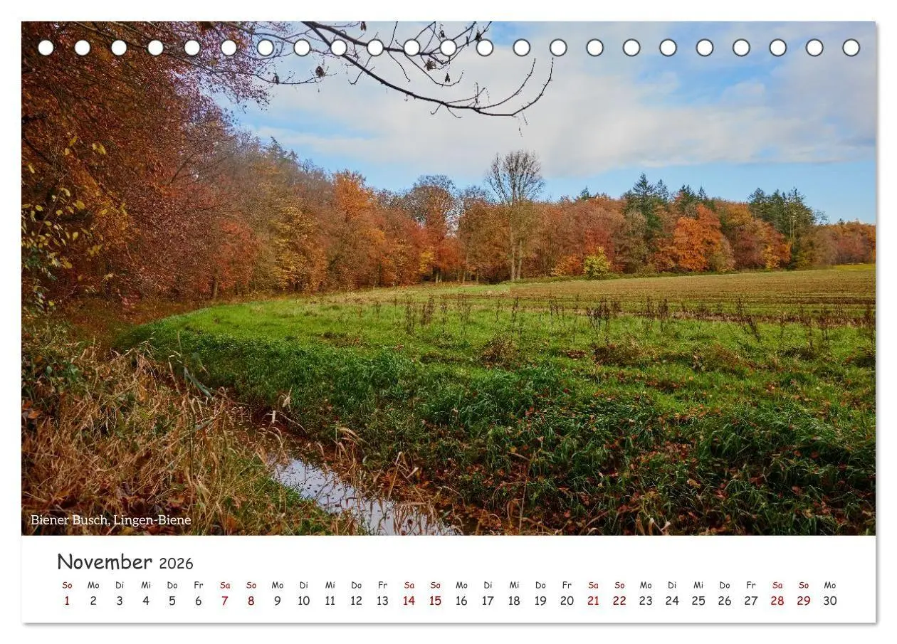 Bild: 9783516729627 | Emsland Impressionen (Tischkalender 2026 DIN A5 quer), CALVENDO...
