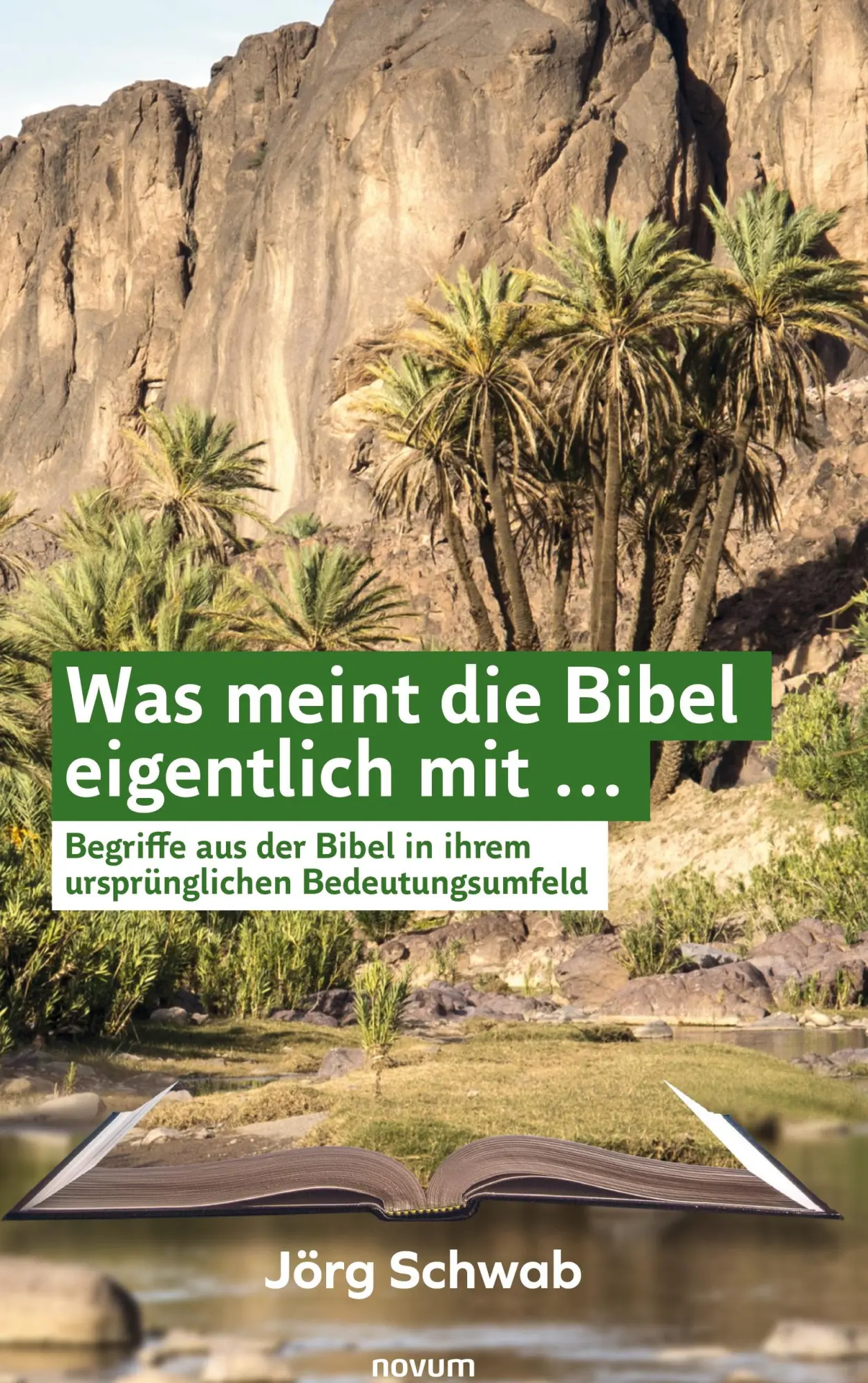 Cover: 9783948379827 | Was meint die Bibel eigentlich mit ... | Jörg Schwab | Buch | 76 S.