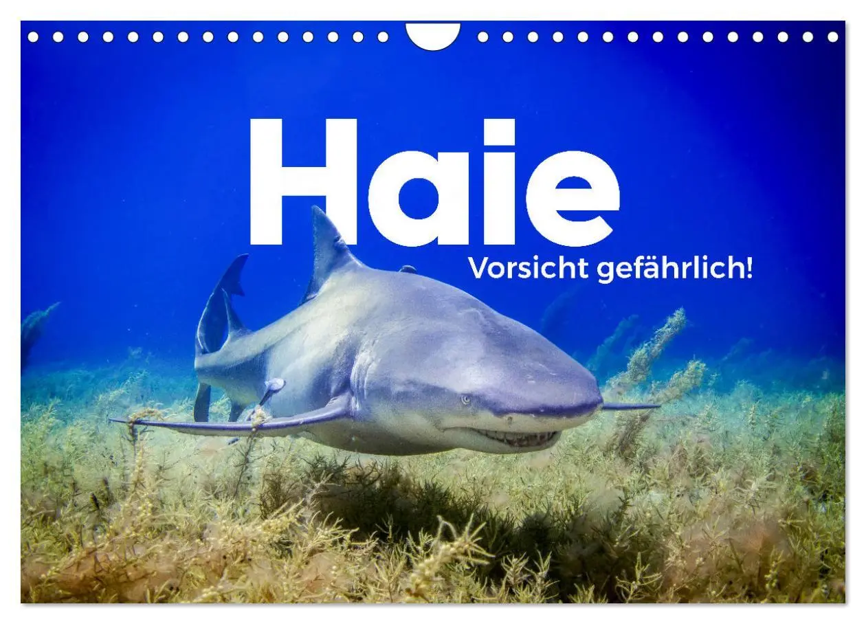 Cover: 9783457539927 | Haie - Vorsicht gefährlich! (Wandkalender 2026 DIN A4 quer),...