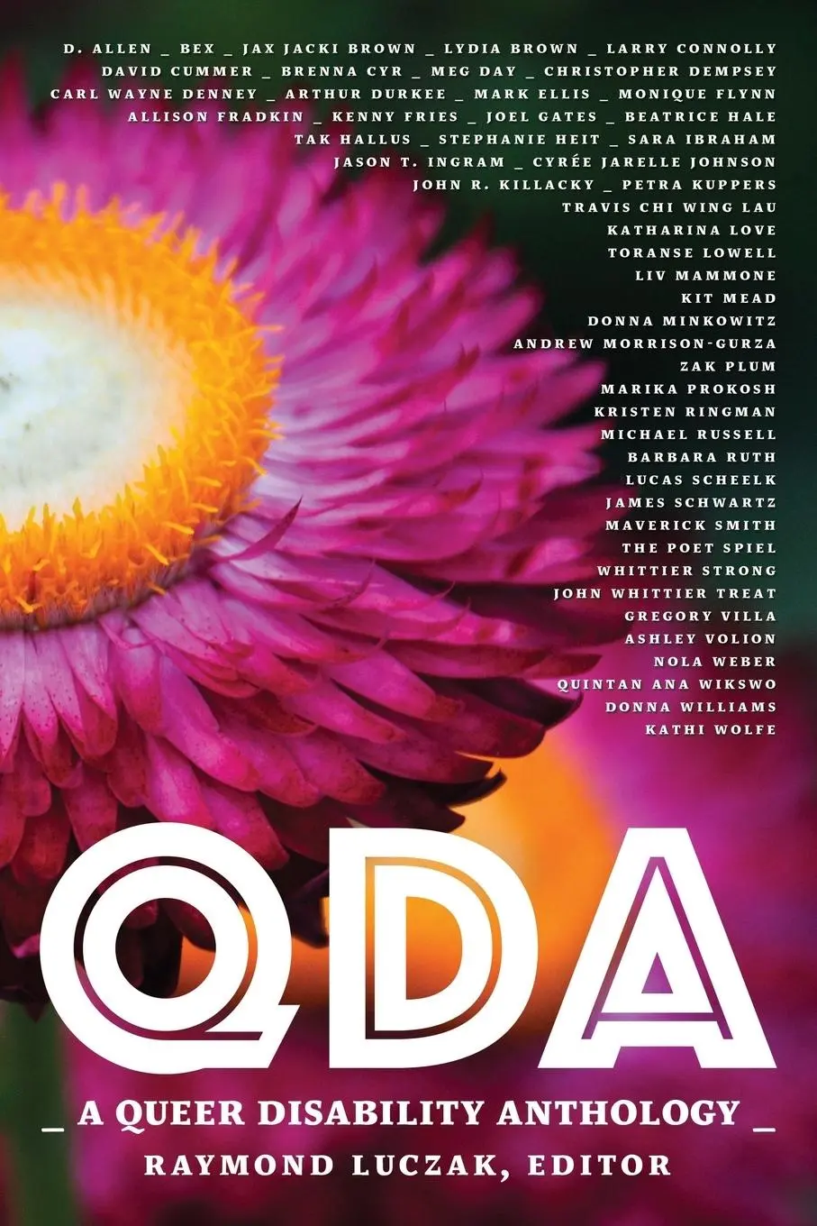 Cover: 9781941960028 | Qda | A Queer Disability Anthology | Raymond Luczak | Taschenbuch
