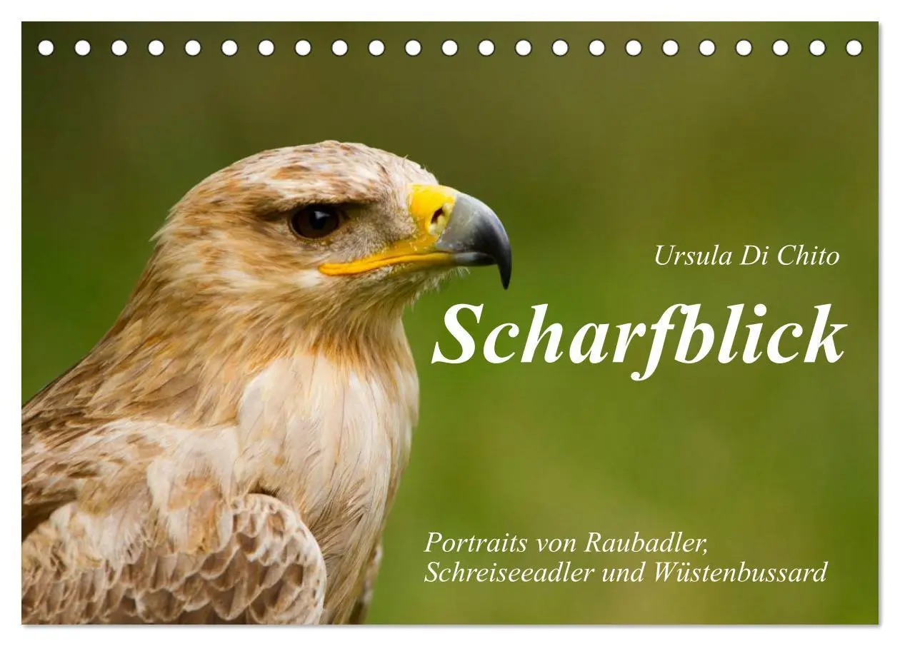 Cover: 9783516120028 | Scharfblick (Tischkalender 2026 DIN A5 quer), CALVENDO Monatskalender