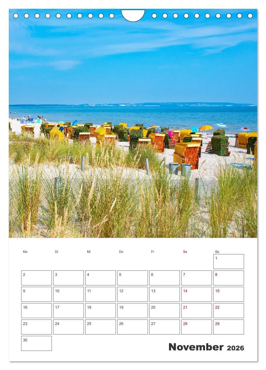 Bild: 9783516360028 | Rügen - Terminplaner (Wandkalender 2026 DIN A4 hoch), CALVENDO...