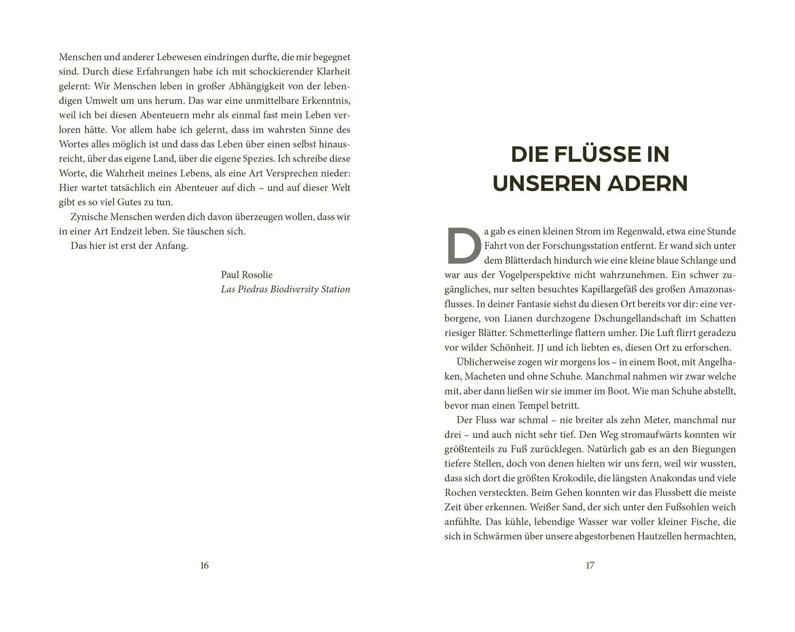 Bild: 9783693270028 | Into the Jungle | Paul Rosolie | Buch | 368 S. | Deutsch | 2026