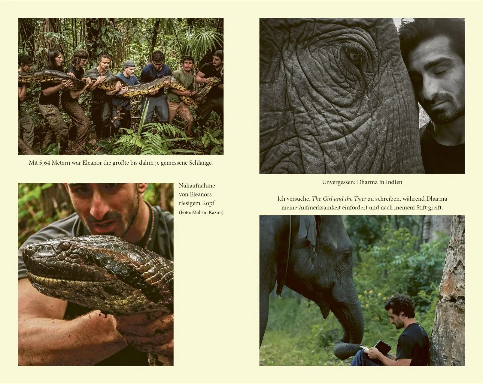 Bild: 9783693270028 | Into the Jungle | Paul Rosolie | Buch | 368 S. | Deutsch | 2026