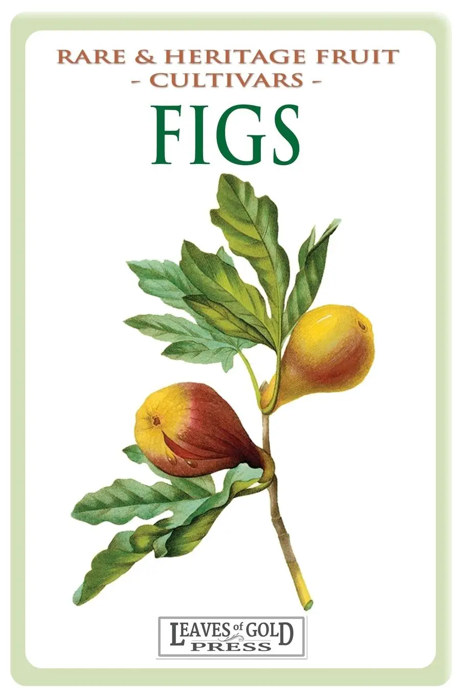 Cover: 9781925110128 | Figs | Rare and Heritage Fruit Cultivars #13 | C. Thornton | Buch