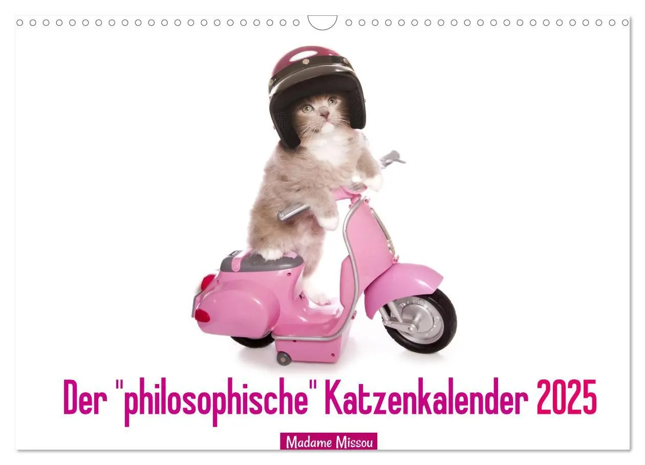 Cover: 9783435620128 | Der "philosophische" Katzenkalender 2025 (Wandkalender 2025 DIN A3...