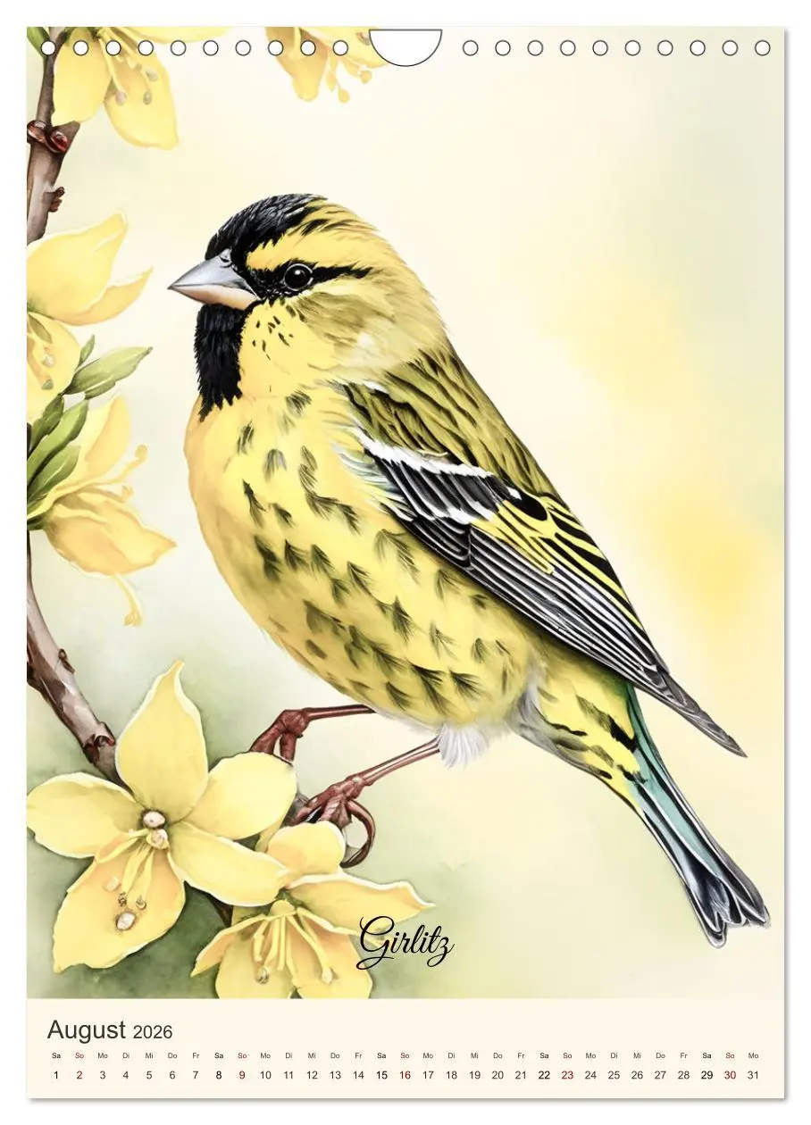 Bild: 9783457260128 | Alle Vögel sind schon da (Wandkalender 2026 DIN A4 hoch), CALVENDO...