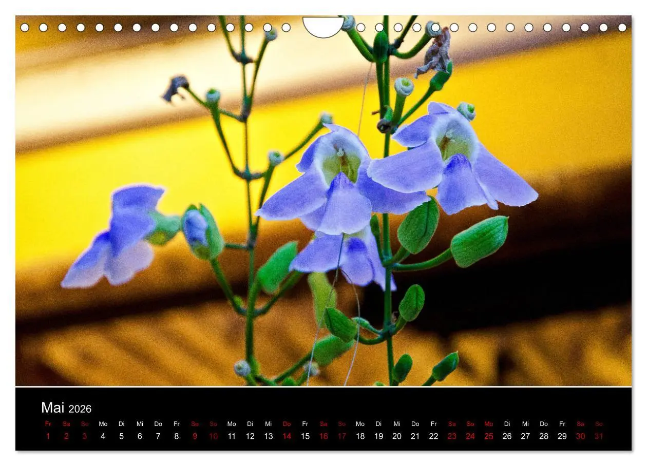 Bild: 9783457880128 | Guten Morgen, Vietnam! (Wandkalender 2026 DIN A4 quer), CALVENDO...