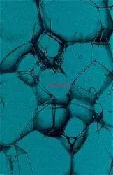 Cover: 9783908010128 | Ecstasy | Nicholas Saunders | Taschenbuch | Kartoniert / Broschiert