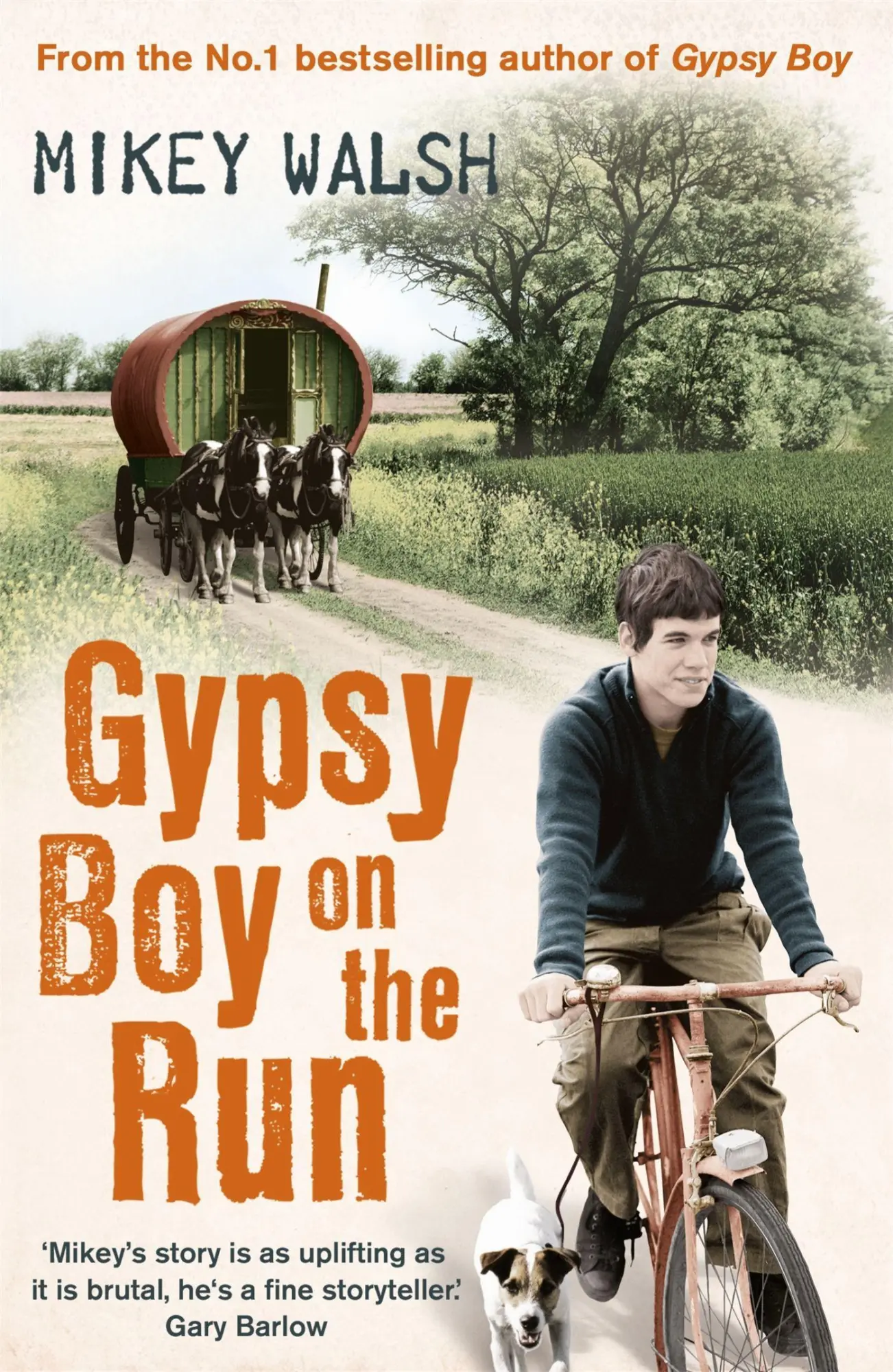 Cover: 9781444720228 | Gypsy Boy on the Run | Mikey Walsh | Taschenbuch | Englisch | 2011