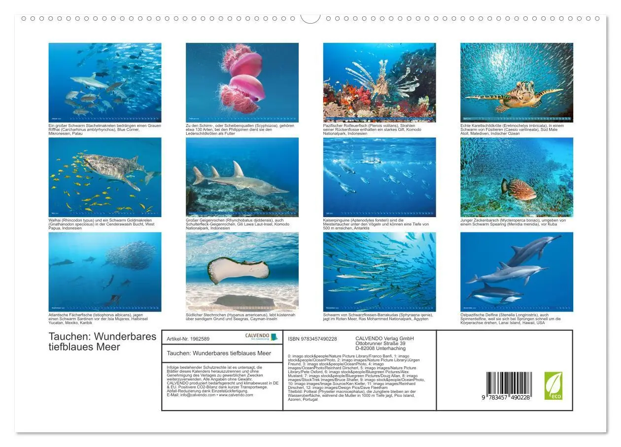 Bild: 9783457490228 | Tauchen: Wunderbares tiefblaues Meer (hochwertiger Premium...
