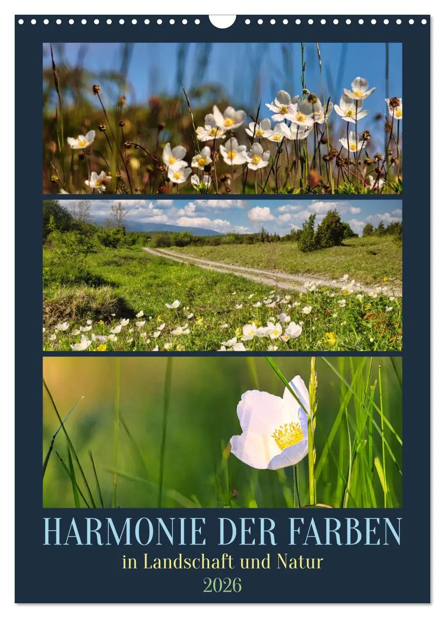 Cover: 9783516270228 | Harmonie der Farben in Landschaft und Natur (Wandkalender 2026 DIN...
