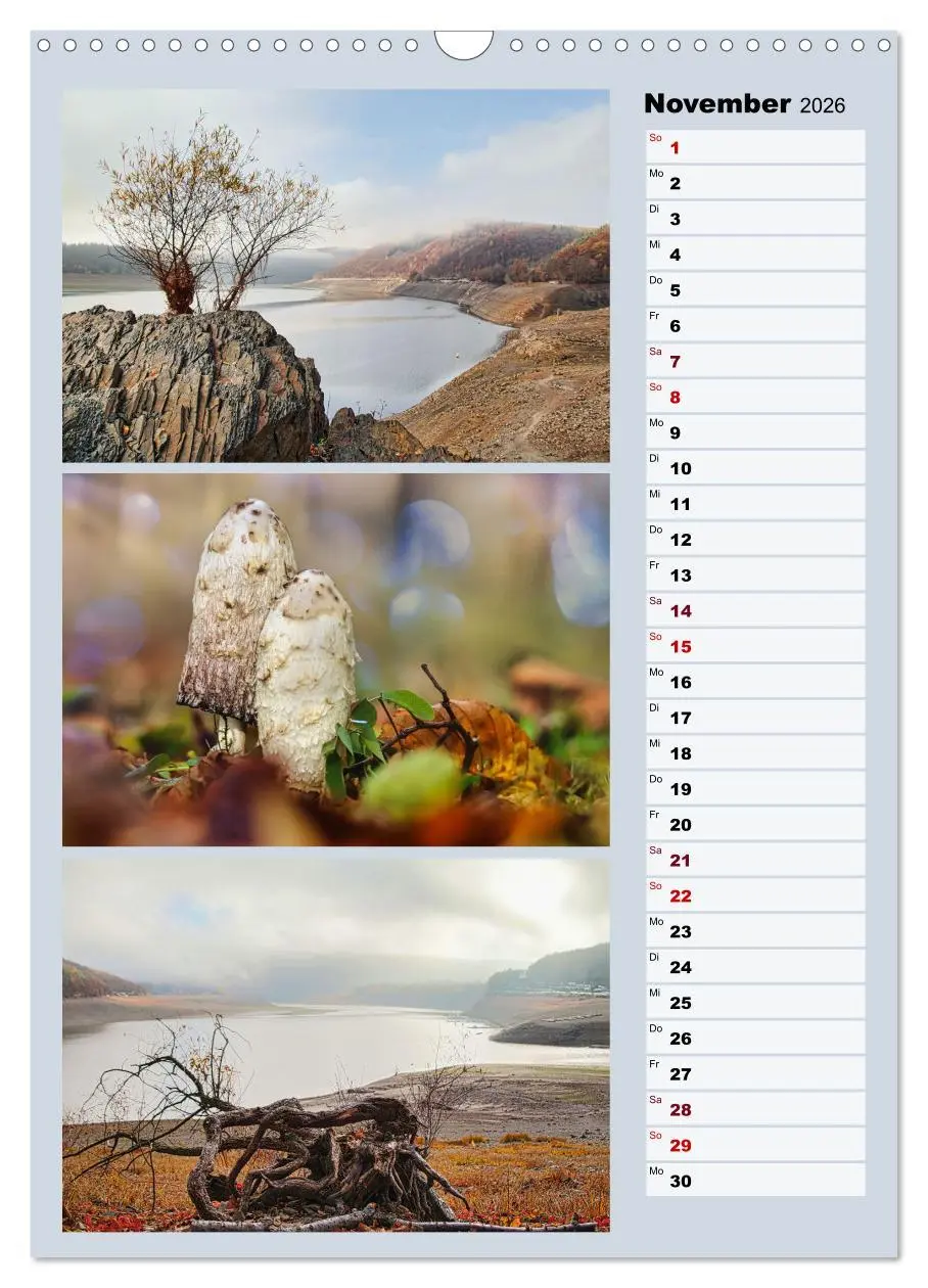 Bild: 9783516270228 | Harmonie der Farben in Landschaft und Natur (Wandkalender 2026 DIN...
