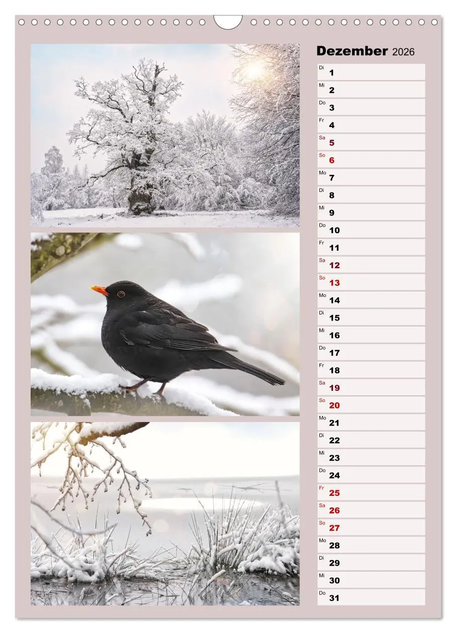 Bild: 9783516270228 | Harmonie der Farben in Landschaft und Natur (Wandkalender 2026 DIN...