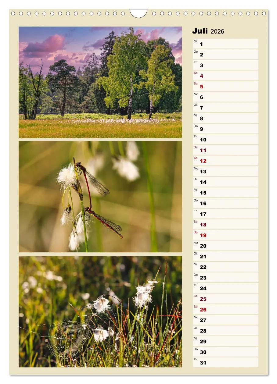 Bild: 9783516270228 | Harmonie der Farben in Landschaft und Natur (Wandkalender 2026 DIN...