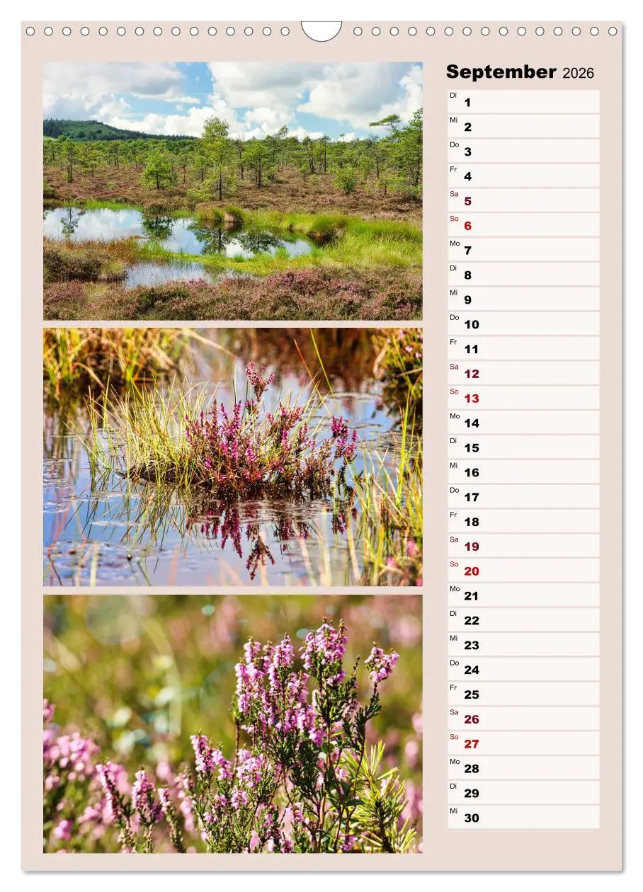 Bild: 9783516270228 | Harmonie der Farben in Landschaft und Natur (Wandkalender 2026 DIN...
