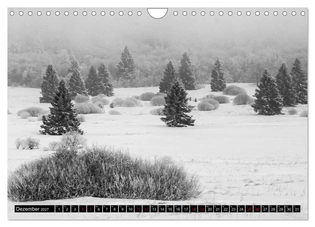 Bild: 9783569810228 | Die Rhön (Wandkalender 2027 DIN A4 quer), CALVENDO Monatskalender