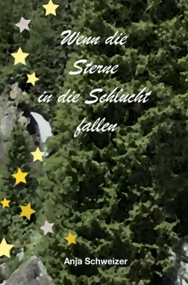 Cover: 9783759820228 | Wenn die Sterne in die Schlucht fallen | Anja Schweizer | Taschenbuch