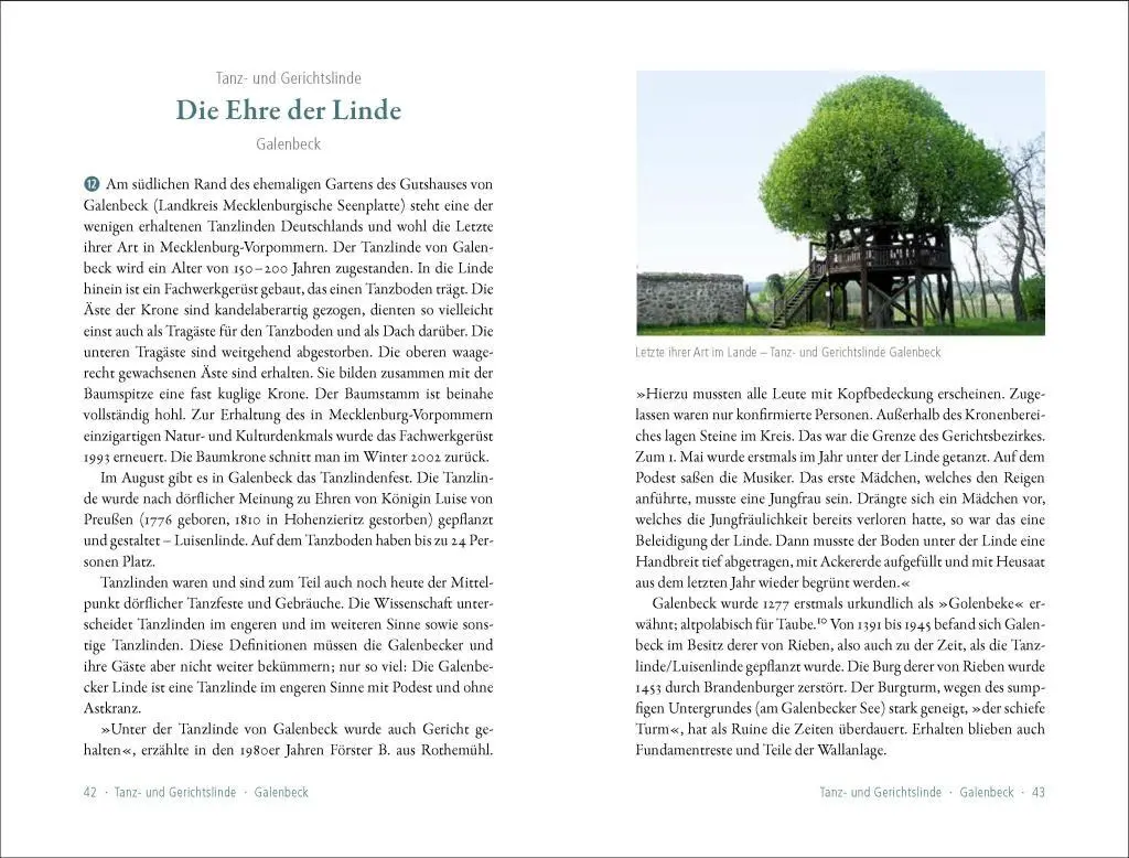 Bild: 9783957990228 | 50 sagenhafte Naturdenkmale in Mecklenburg-Vorpommern | Siering | Buch