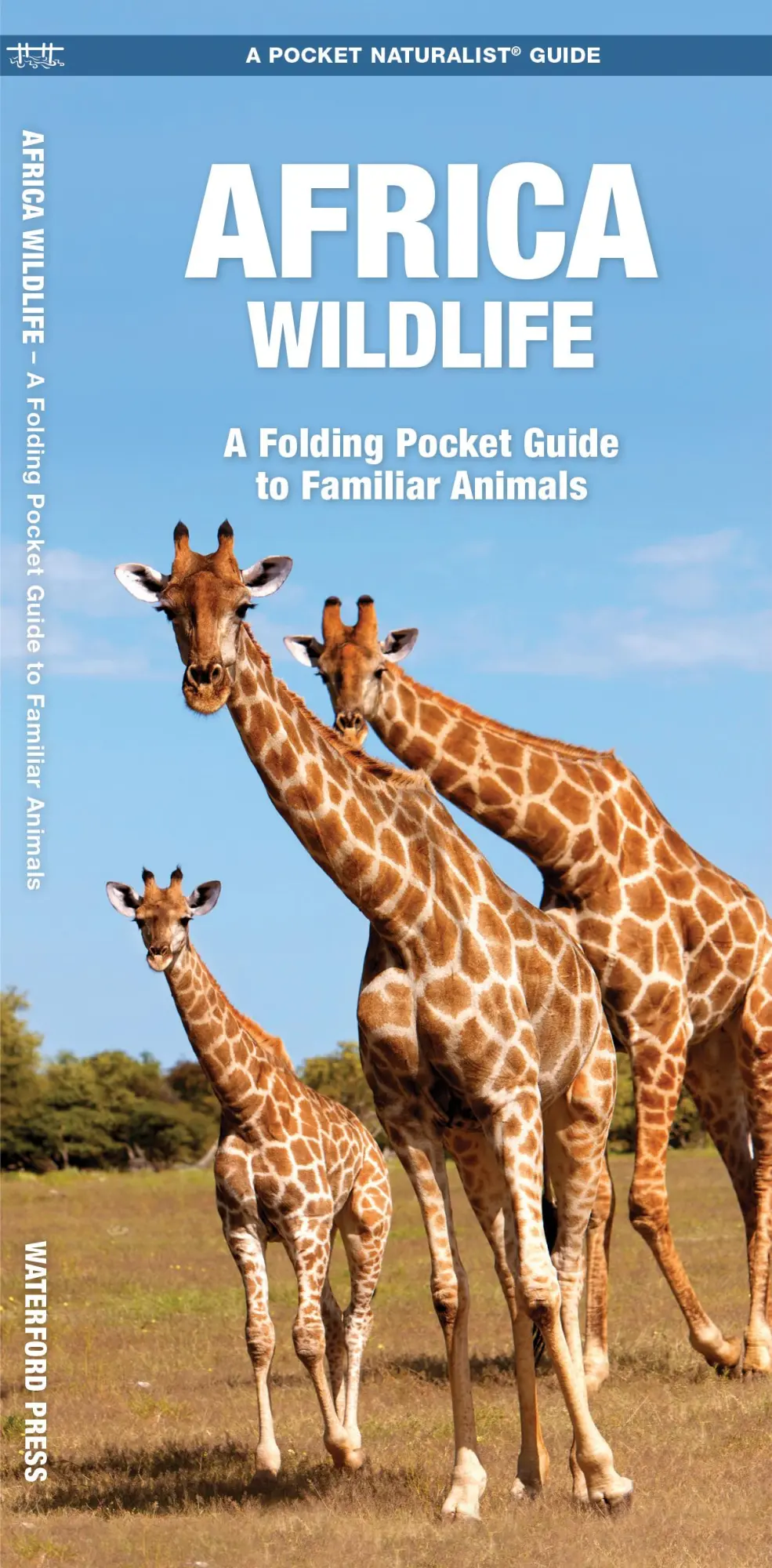 Cover: 9781583550328 | African Wildlife | A Folding Pocket Guide to Familiar Species | Ordner