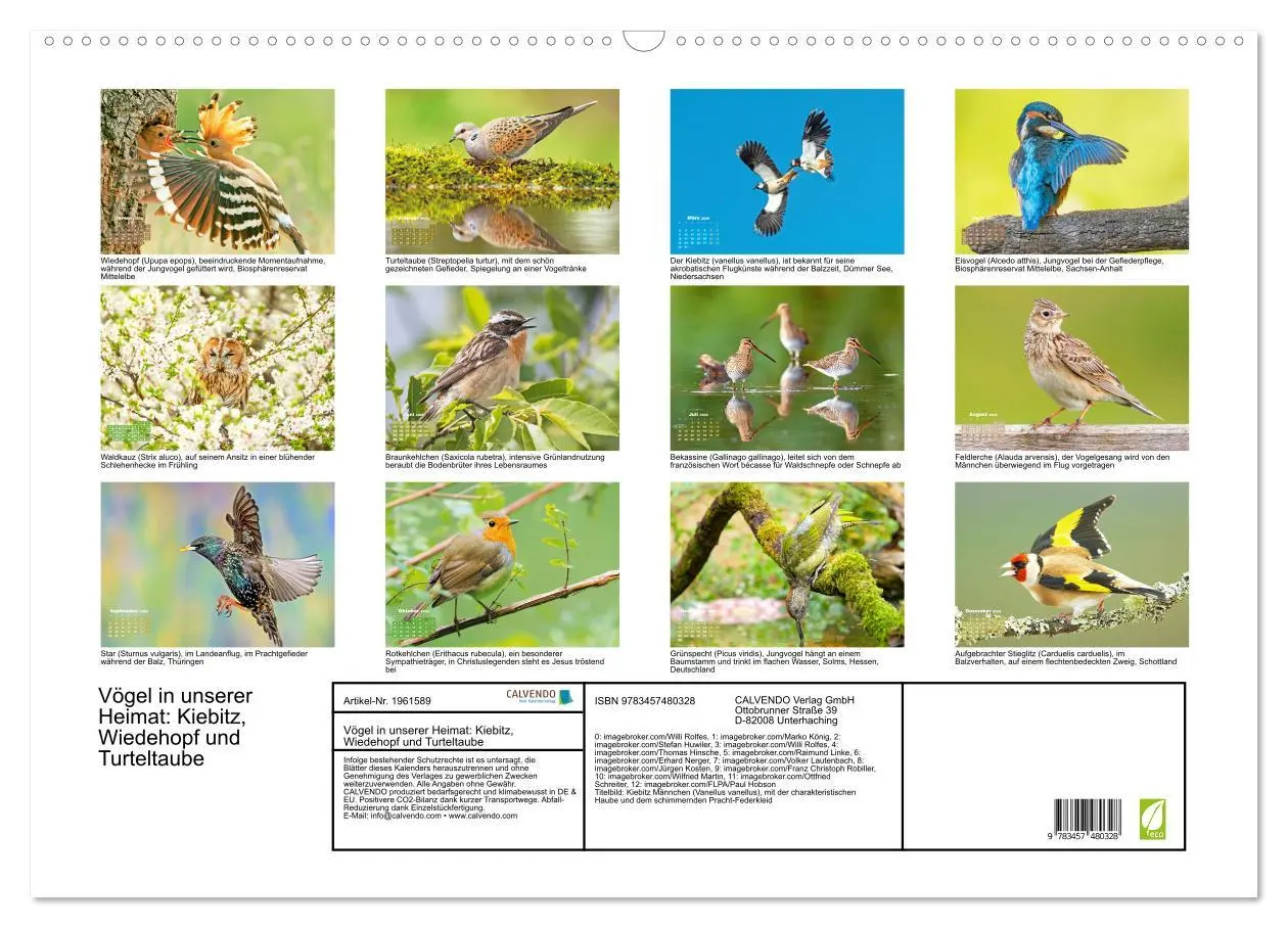 Bild: 9783457480328 | Vögel in unserer Heimat: Kiebitz, Wiedehopf und Turteltaube...