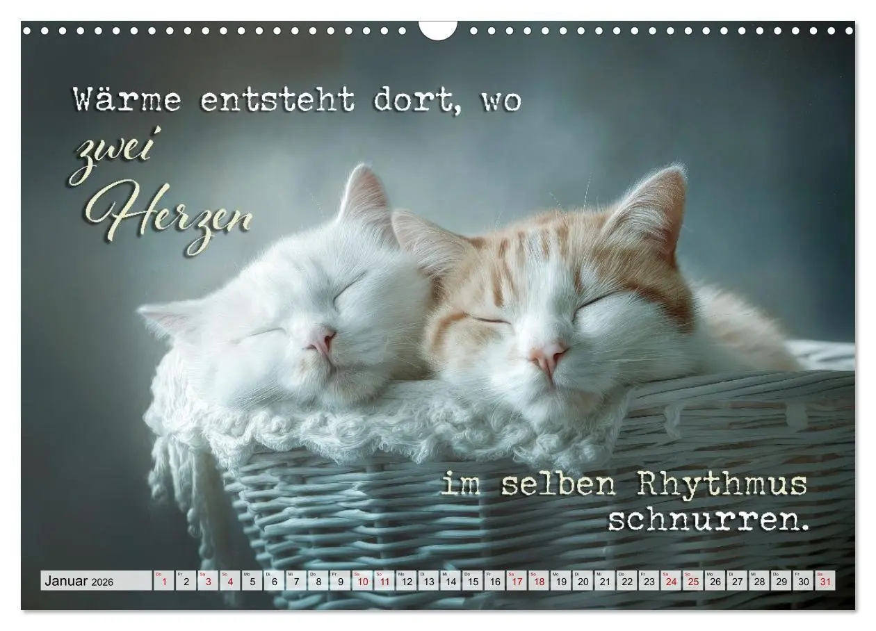 Bild: 9783516710328 | Katzenpoesie - Herzberührende Verse (Wandkalender 2026 DIN A3...