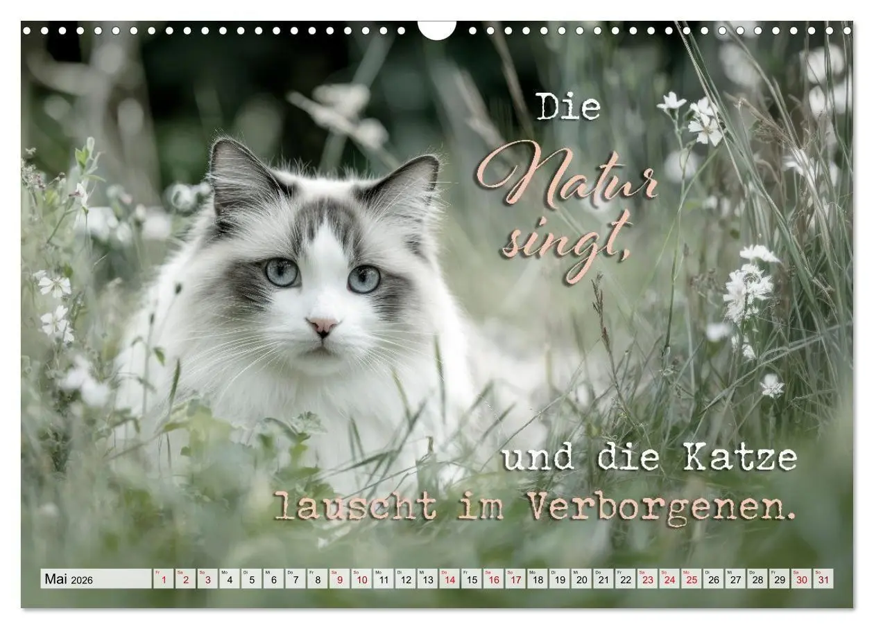 Bild: 9783516710328 | Katzenpoesie - Herzberührende Verse (Wandkalender 2026 DIN A3...