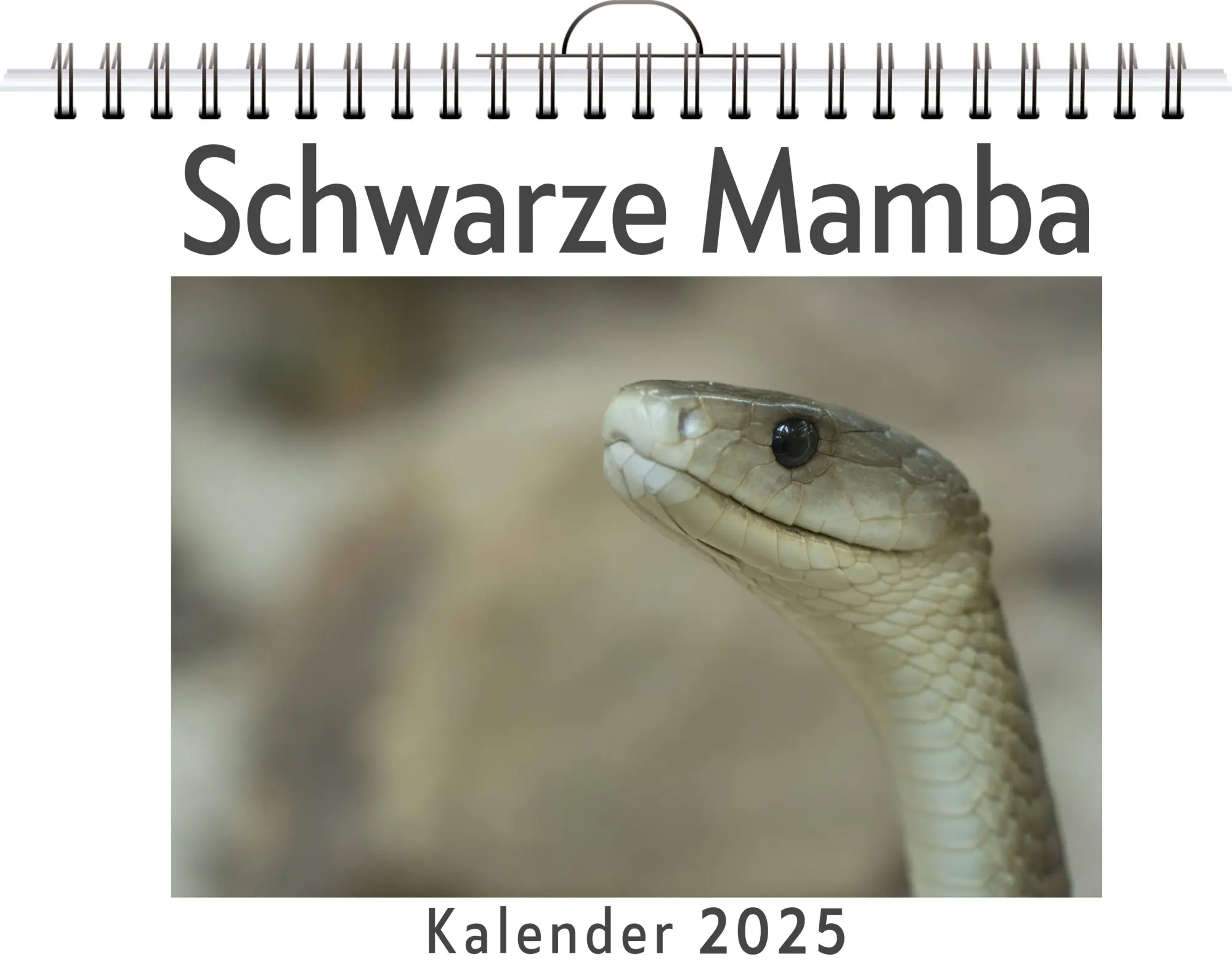 Cover: 9783759120328 | Schwarze Mamba | Henry Braun | Kalender | Kalender | 14 S. | Deutsch
