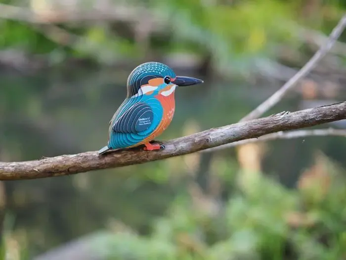 Bild: 9421036940428 | EUGY - 3D Bastelset Eisvogel | Kit (Bastelset) | 2025 | EUGY